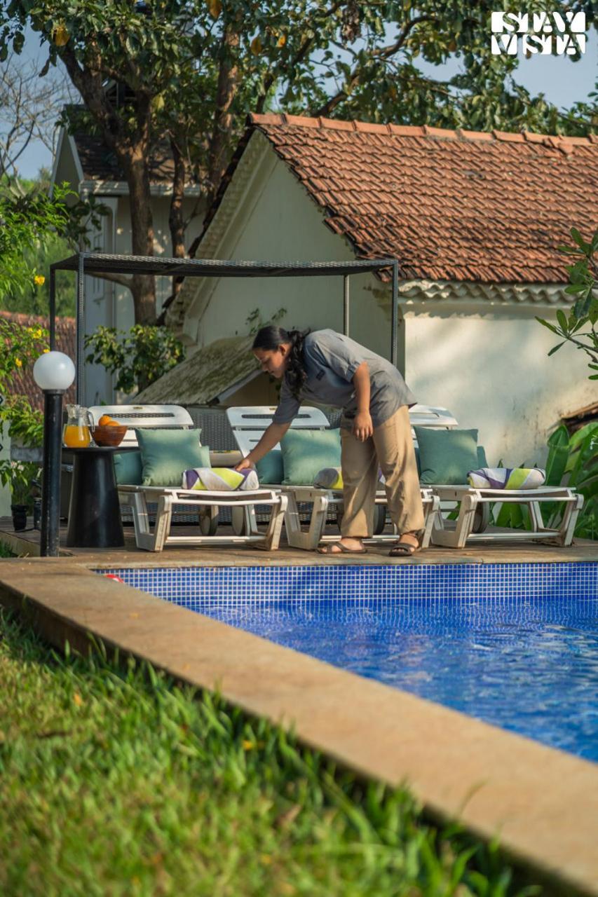 Stayvista At Amalia By Tellado With Pool, Wifi Assagao Exterior foto